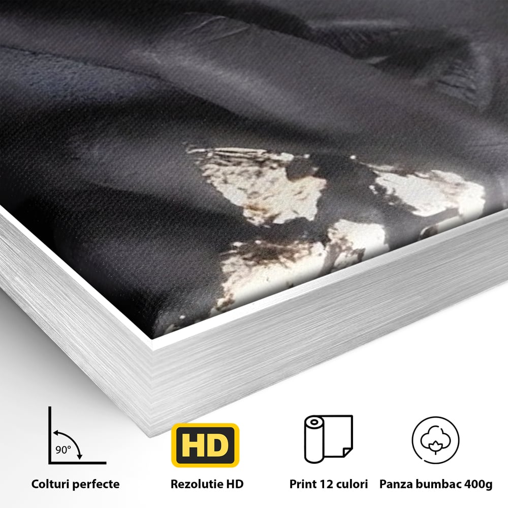 Detaliu al suprafetei: tablou canvas cu portret de femeie, in rama de aluminiu argintiu